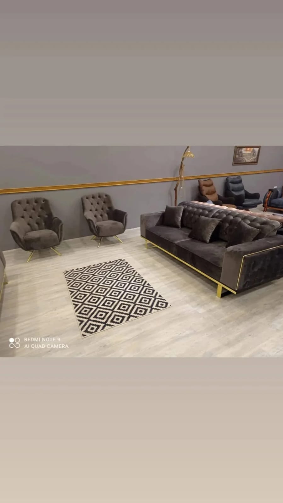 Vien koltuk takımı